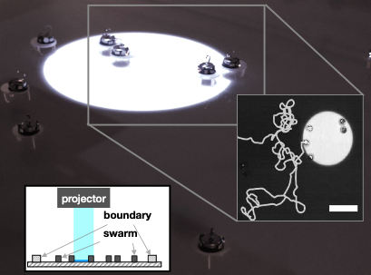 Phototaxie d'un essaim de robot